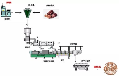 慢消化淀粉健康食品加工技術開發與研究成果