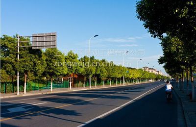 融合生態(tài)與都市 上海道路綠化工程施工與景觀設(shè)計深度解析
